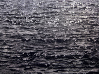 Black and white, geometric waves sea art prints